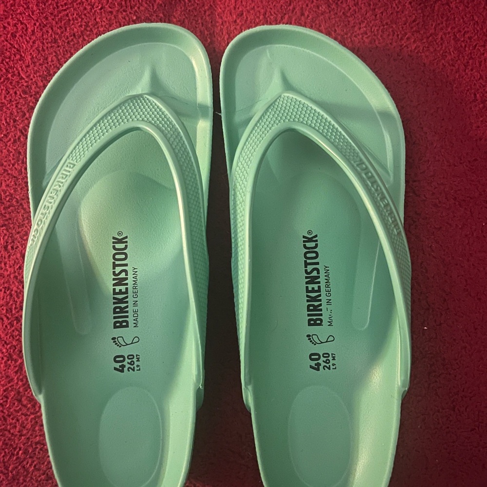 Birkenstock Mint Green Sandals